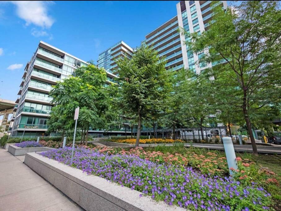 Cn Tower View With Free Parking, Pool, & More Amenities Toronto Exterior photo